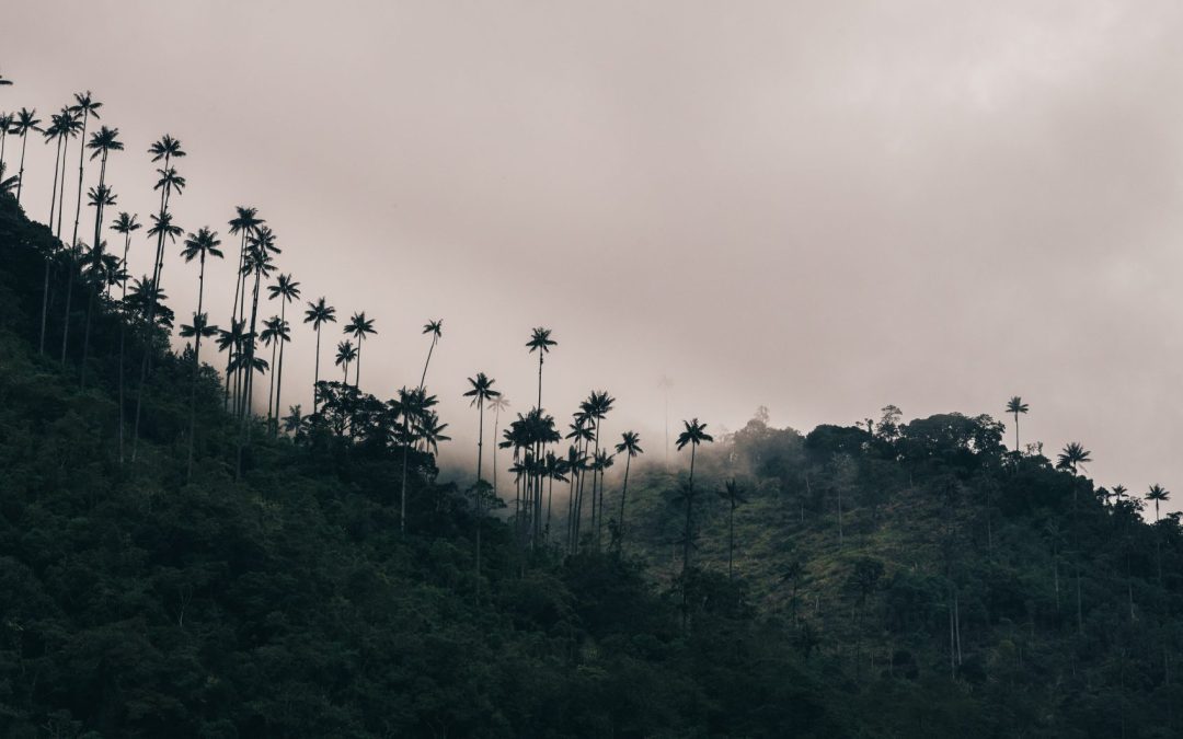 Colombia – Salento and Cocora Valley